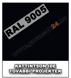 RAL 9005